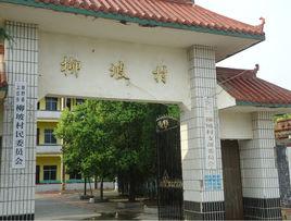 新野縣柳坡村 新野縣柳坡村