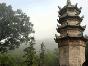 黃柏山森林公園