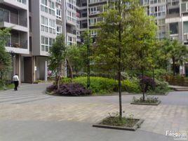 綠野天城 綠野天城