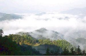 浮蓋山風景名勝區