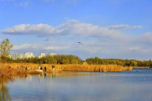 奧林匹克森林公園秋景