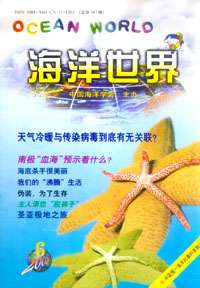 《海洋世界》