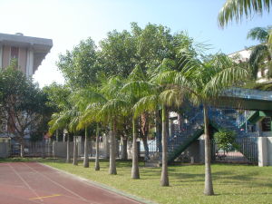 臨朐縣龍崗鎮龍崗初級中學 臨朐縣龍崗鎮龍崗初級中學