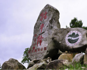 牯牛降風景區 牯牛降風景區