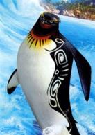 衝浪季節[美國動畫喜劇片]