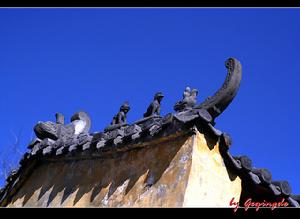 大仲村鎮 大仲村鎮