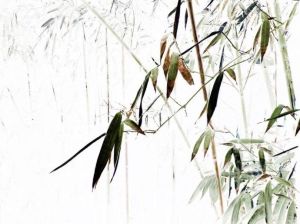 美芹之獻 美芹之獻