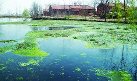 農業污水 農業污水