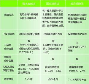 牛樟芝蘑菇膠囊 牛樟芝蘑菇膠囊