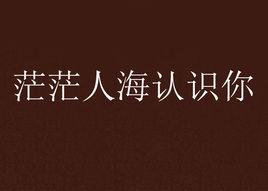 茫茫人海認識你