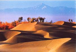 圖開沙漠 圖開沙漠