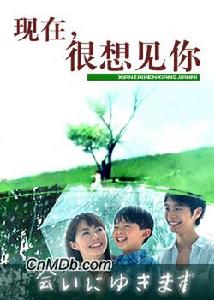 （圖）《現在，很想見你》