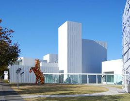 十和田市現代美術館 十和田市現代美術館