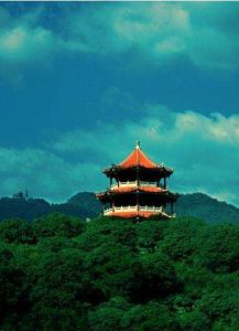 金錢山公園 金錢山公園