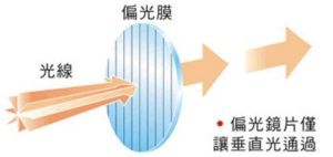 偏光式3D立體眼鏡偏光原理