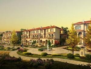 中新御景灣 中新御景灣