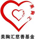 美胸匯慈善基金