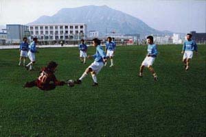 大連翻譯職業學院