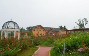 武家嘴熱帶風情谷 武家嘴熱帶風情谷