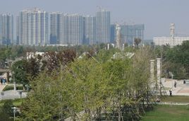 太白湖新區 太白湖新區