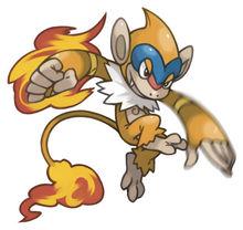 猛火猴相關圖冊