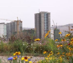 沙井驛街道 沙井驛街道