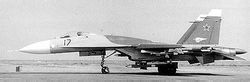 T-10-17為第一架正式生產型原型機