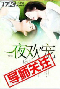 一夜歡寵 一夜歡寵