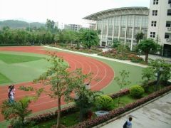 深圳市龍崗區清林國小