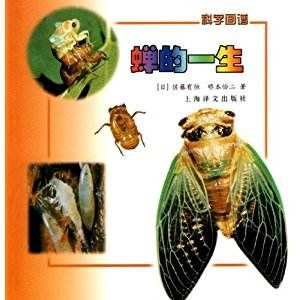 蟬的一生