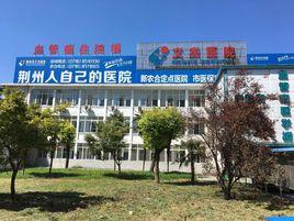 荊州文杰醫院 荊州文杰醫院