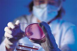 生物高分子材料 生物高分子材料