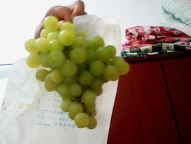 大澤山葡萄 大澤山葡萄