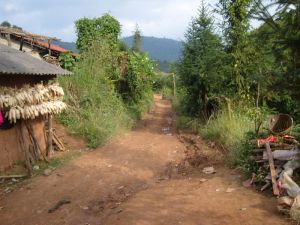 清樹灣自然村 清樹灣自然村