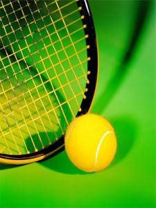 網球 網球