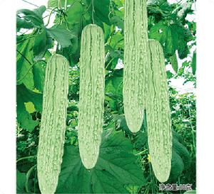 春早一號 春早一號