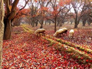 蘭州旅遊 蘭州旅遊