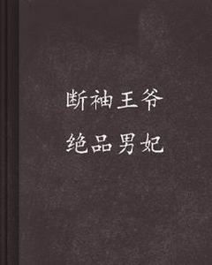 斷袖王爺絕品男妃 斷袖王爺絕品男妃