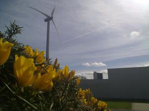 唐道克技術學院