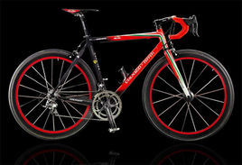 法拉利腳踏車 法拉利腳踏車