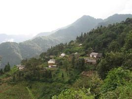 坪子寨自然村 坪子寨自然村