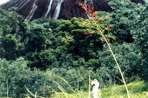 中國科學院動物研究所