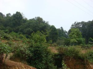 下龍洞自然村 下龍洞自然村