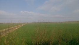 南馮召村 南馮召村