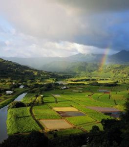 航埠鎮[浙江省衢州市柯城區]