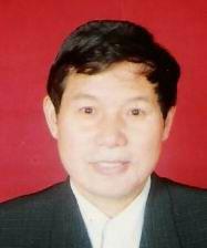 夏瑾[黨史黨建專家]