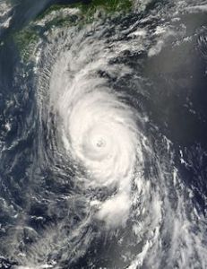 颱風泰培