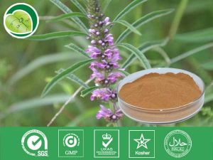 益母草提取物 益母草提取物