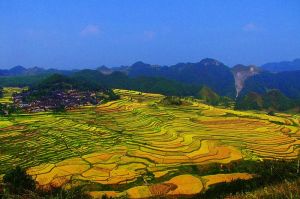 高要梯田 高要梯田