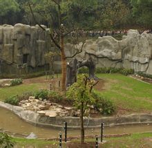 公園前身西區公園